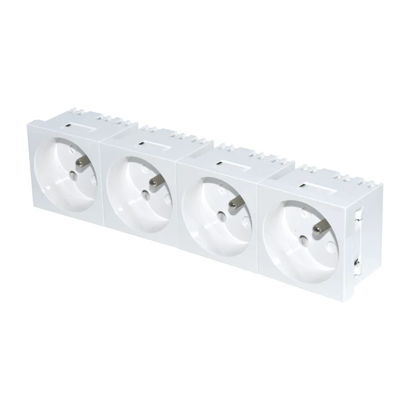 Ֆրանսիական White Socket Four Function Module